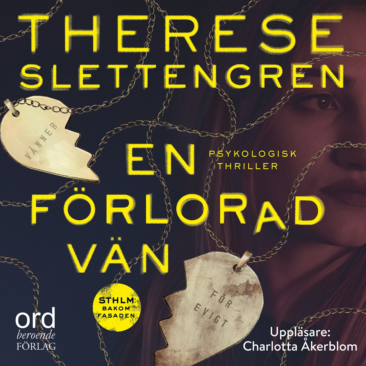 En förlorad vän – Ljudbok