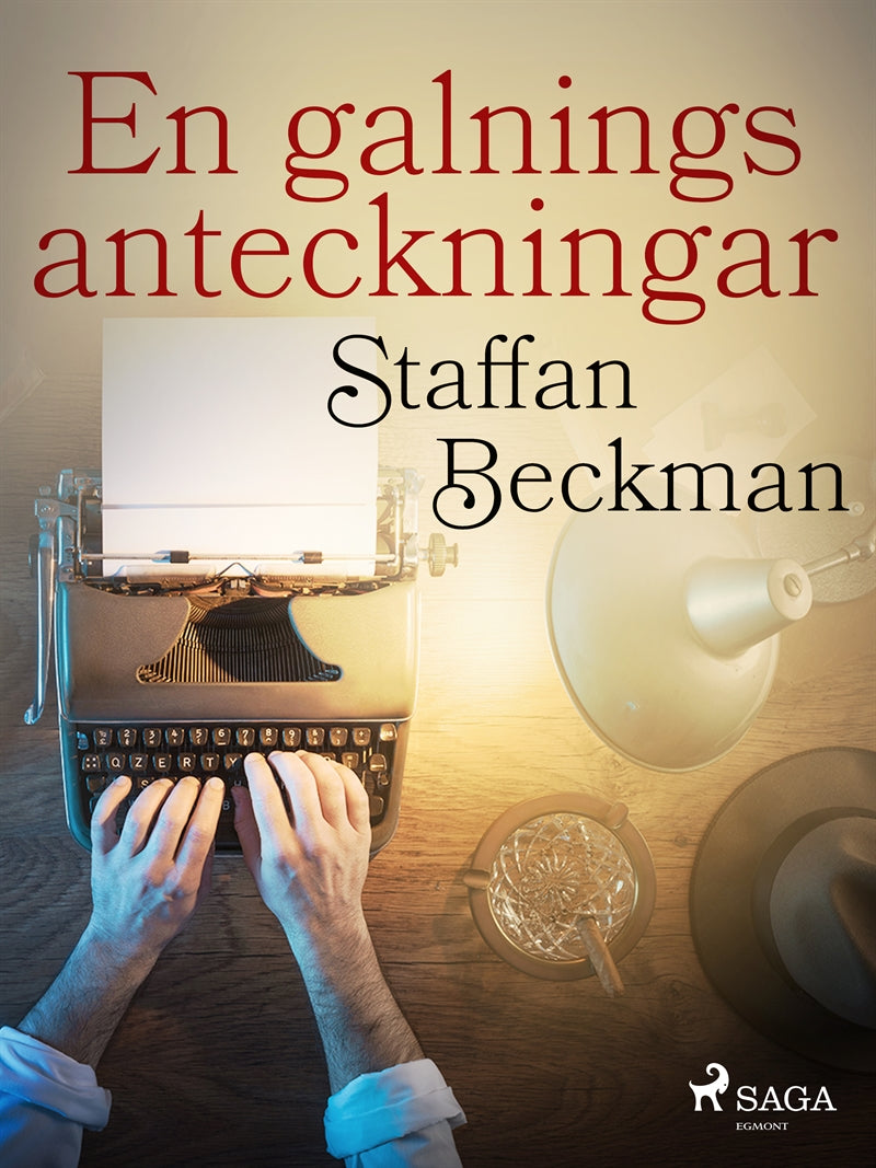 En galnings anteckningar – E-bok