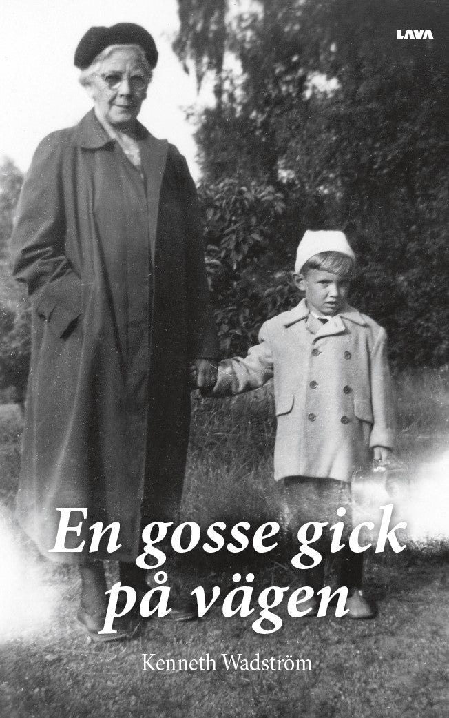 En gosse gick på vägen – E-bok