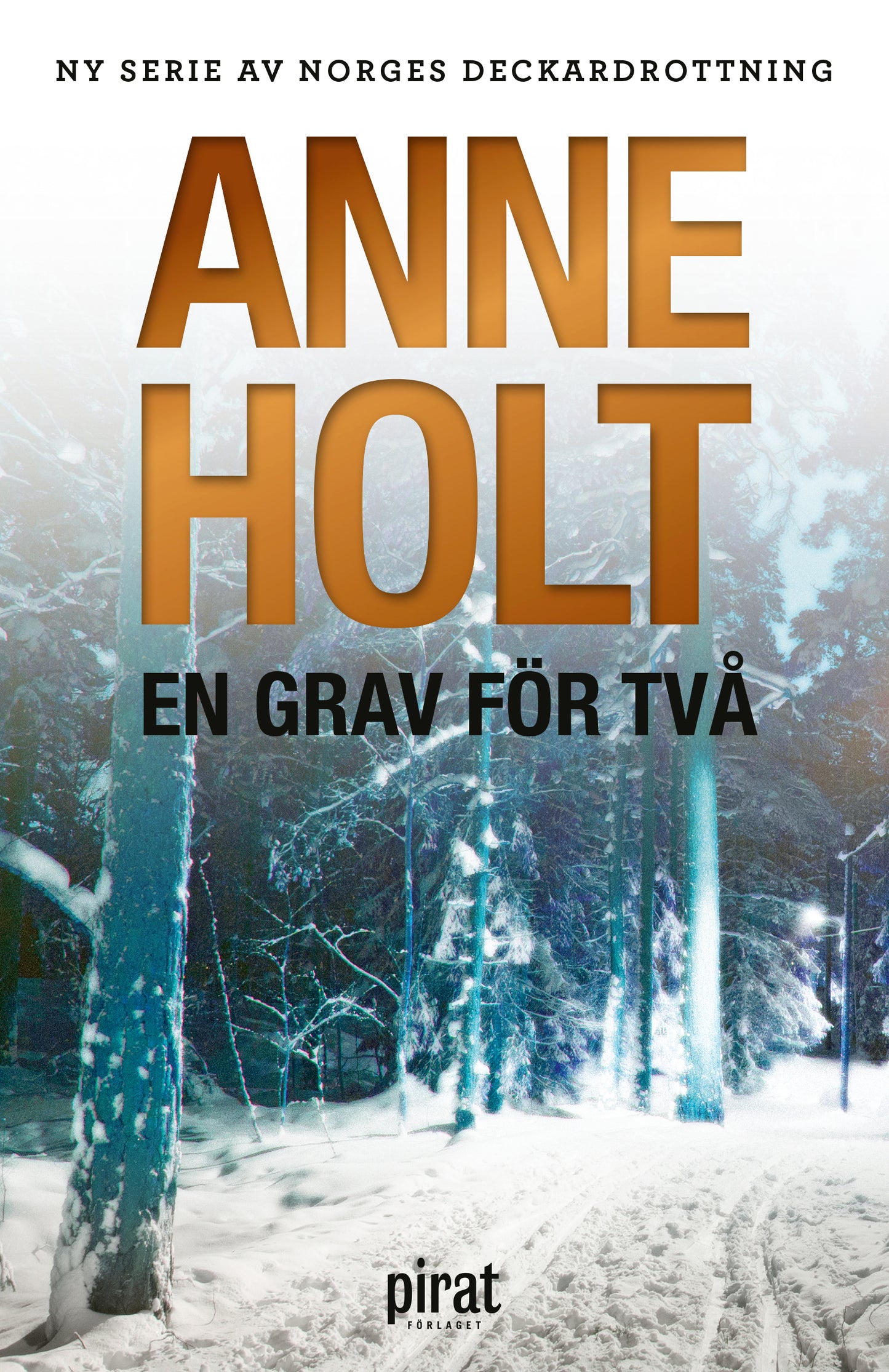 En grav för två – E-bok