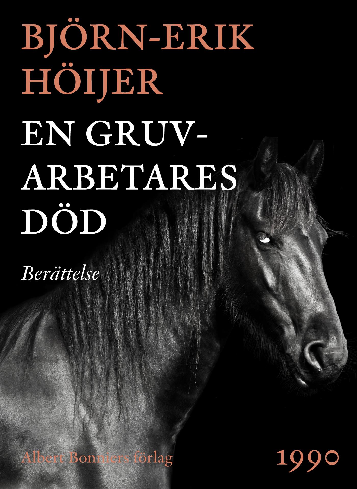 En gruvarbetares död : berättelse – E-bok