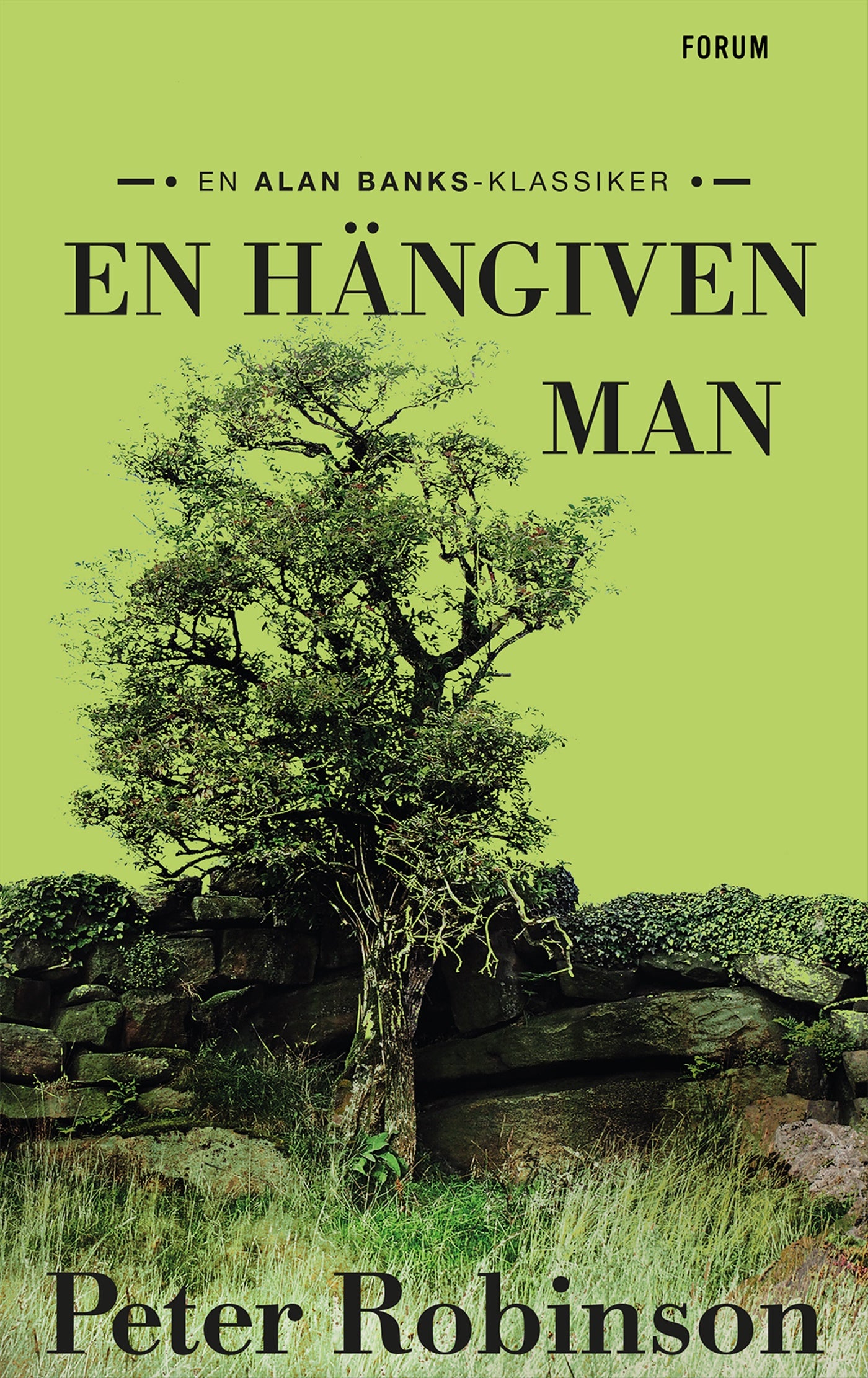 En hängiven man – E-bok