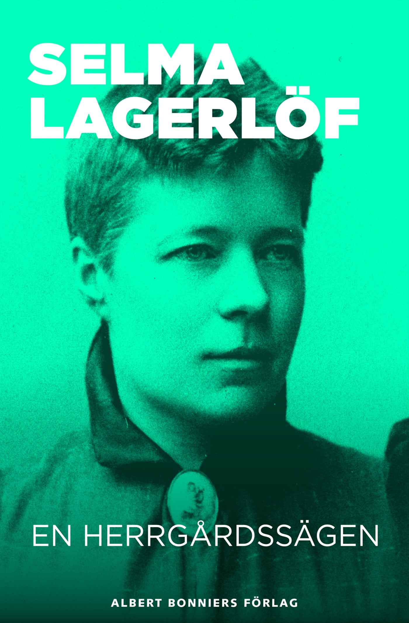 En herrgårdssägen – E-bok
