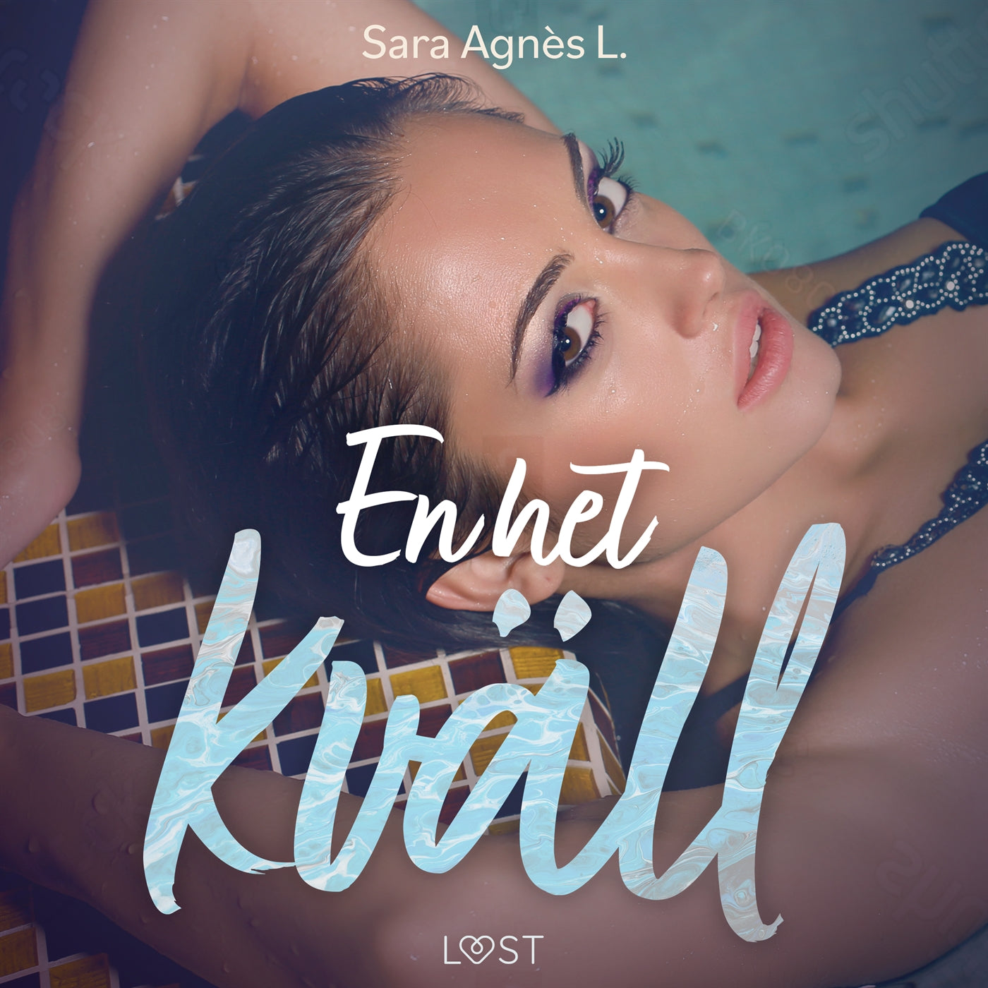 En het kväll - erotisk novell – Ljudbok