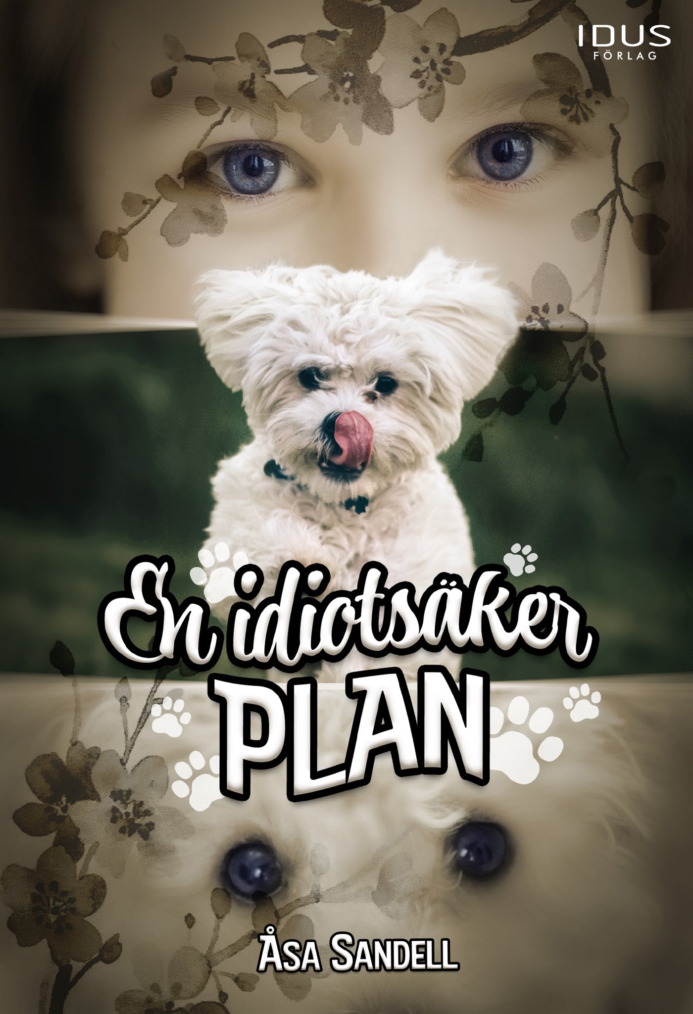 En idiotsäker plan – E-bok