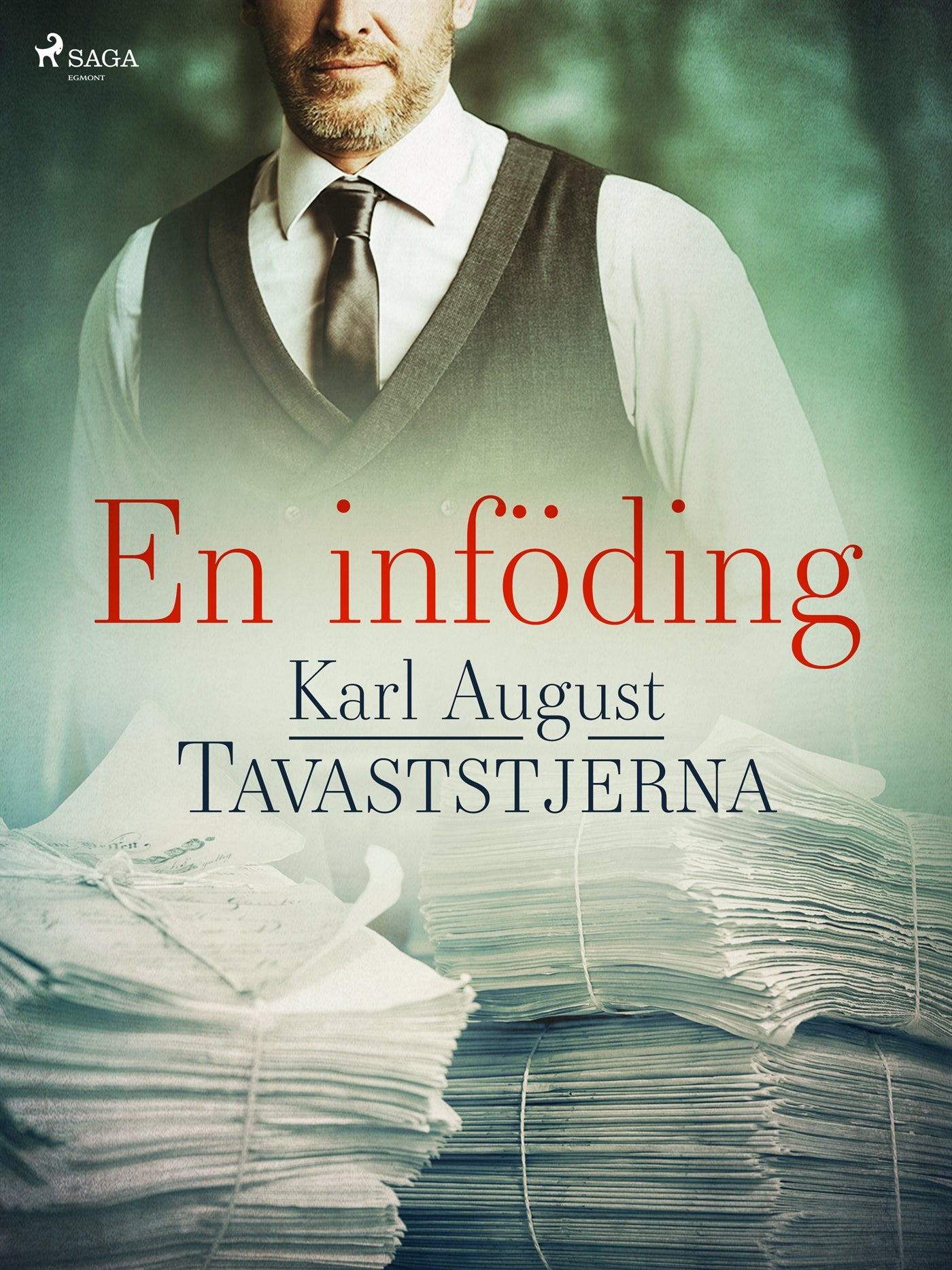 En inföding – E-bok