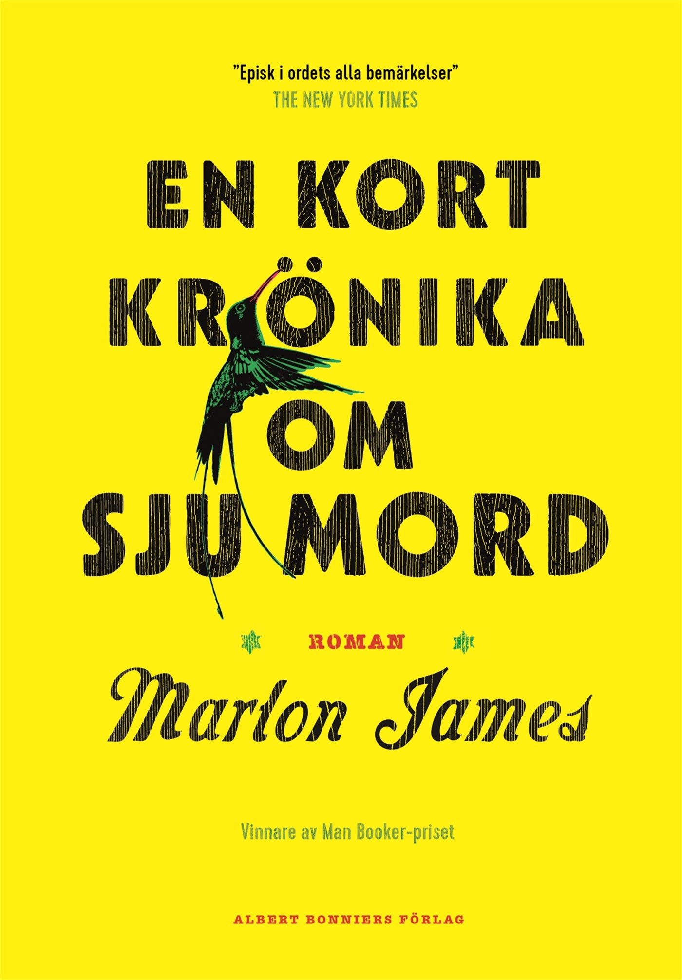 En kort krönika om sju mord – E-bok