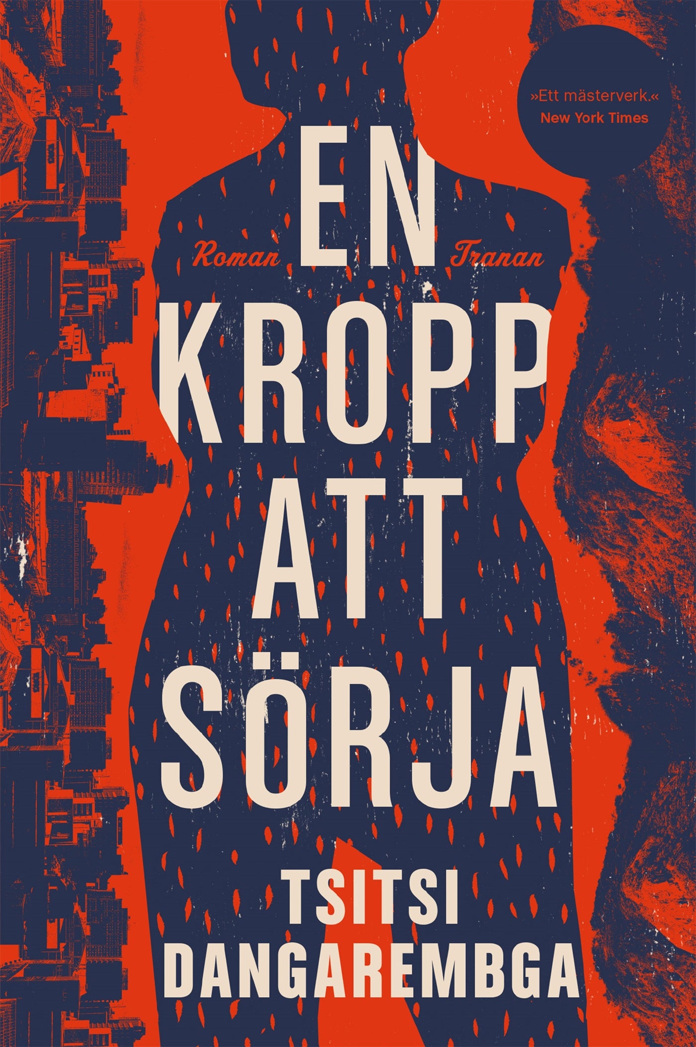 En kropp att sörja – E-bok