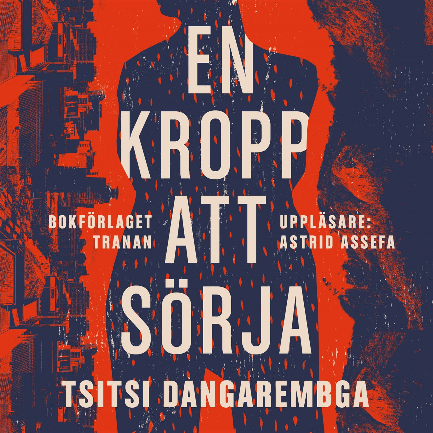En kropp att sörja – Ljudbok