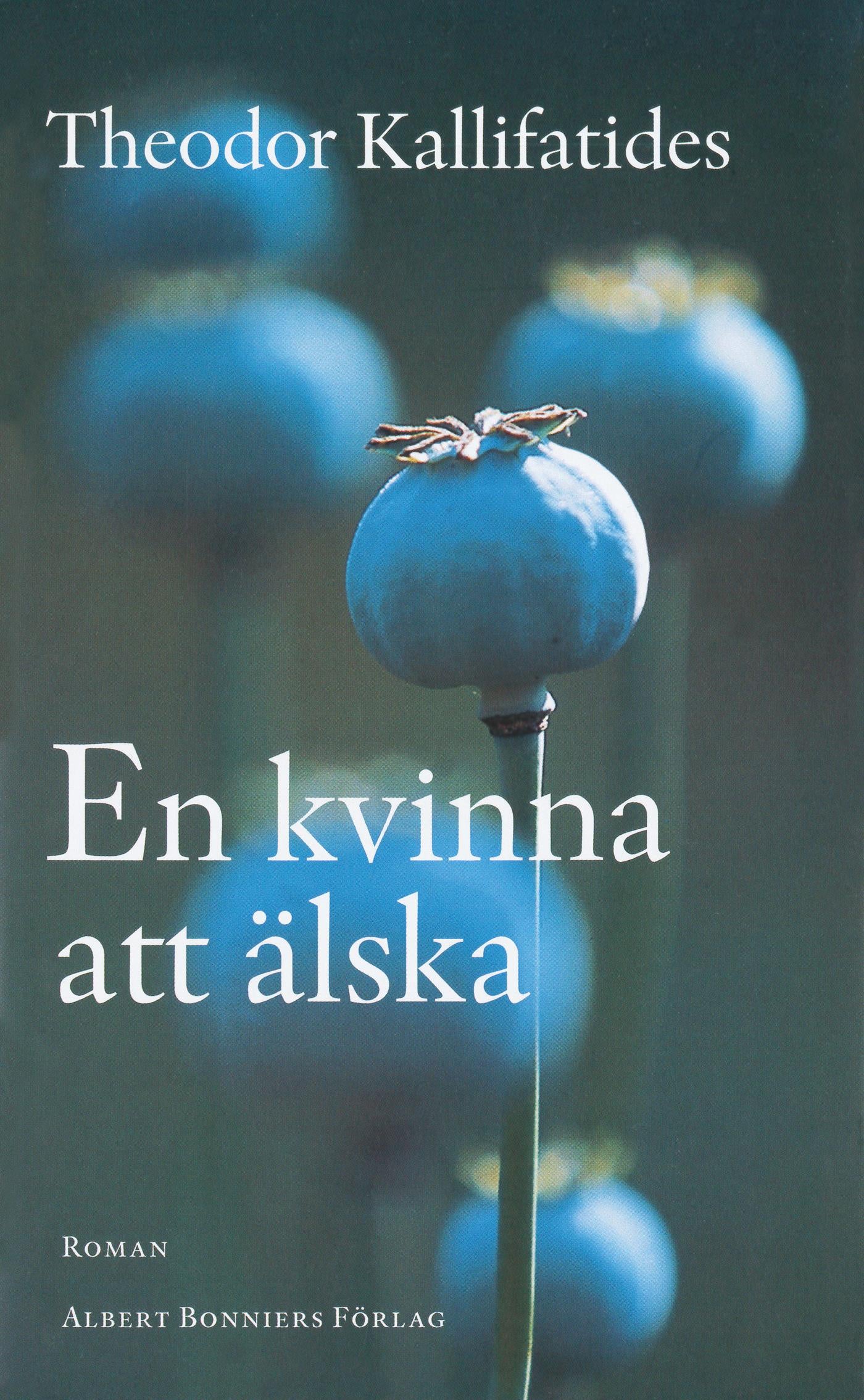 En kvinna att älska – E-bok