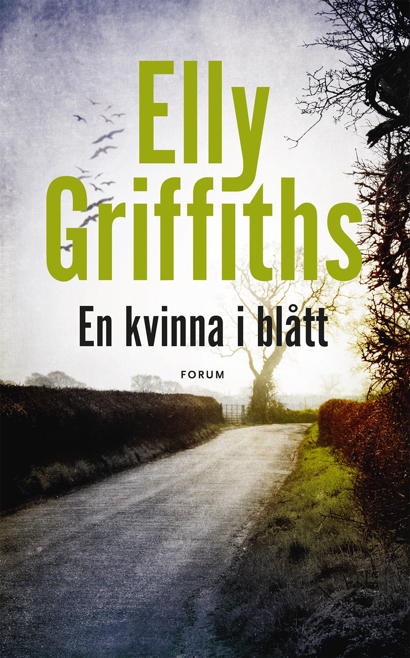 En kvinna i blått – E-bok