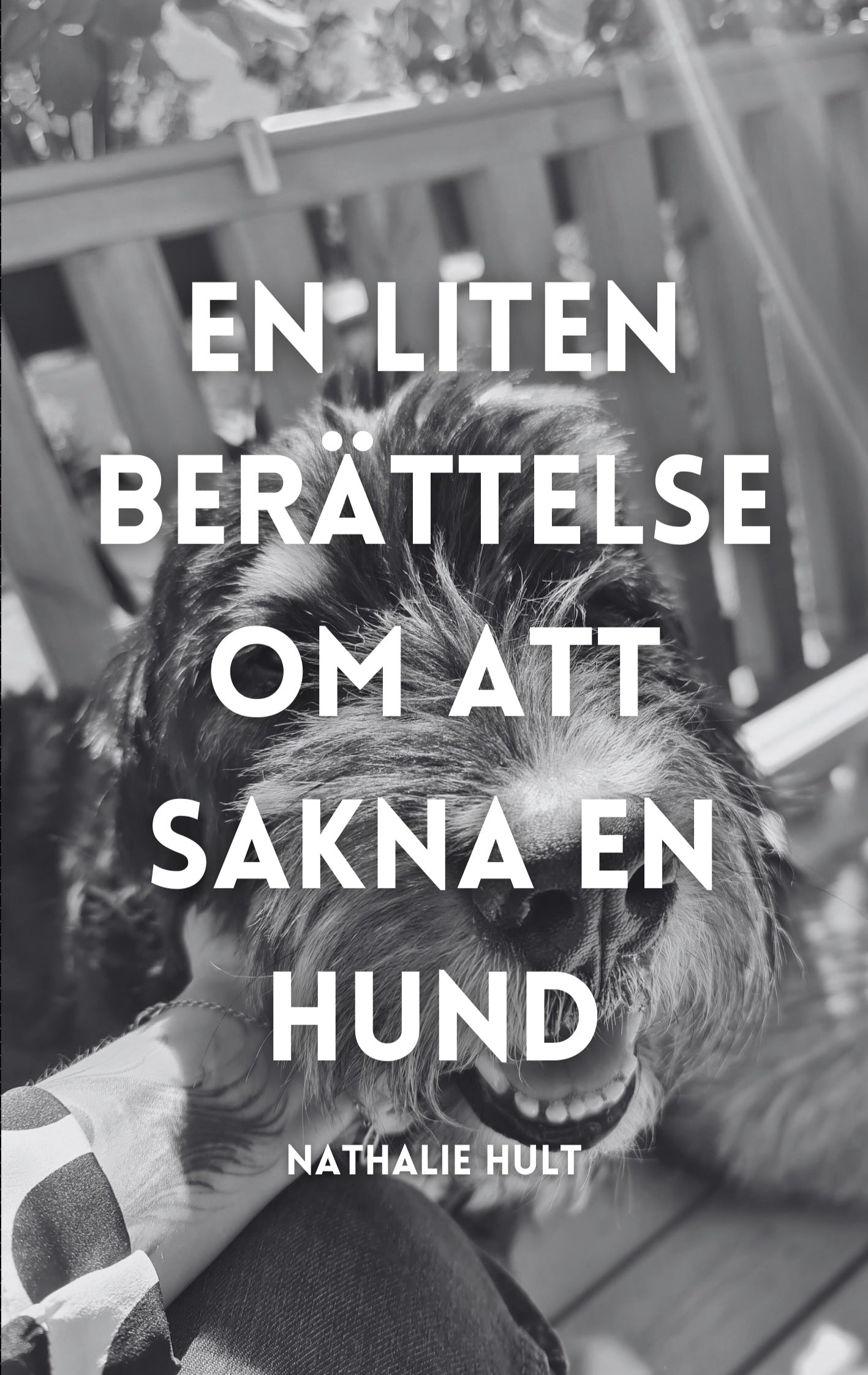 En liten berättelse om att sakna en hund – E-bok