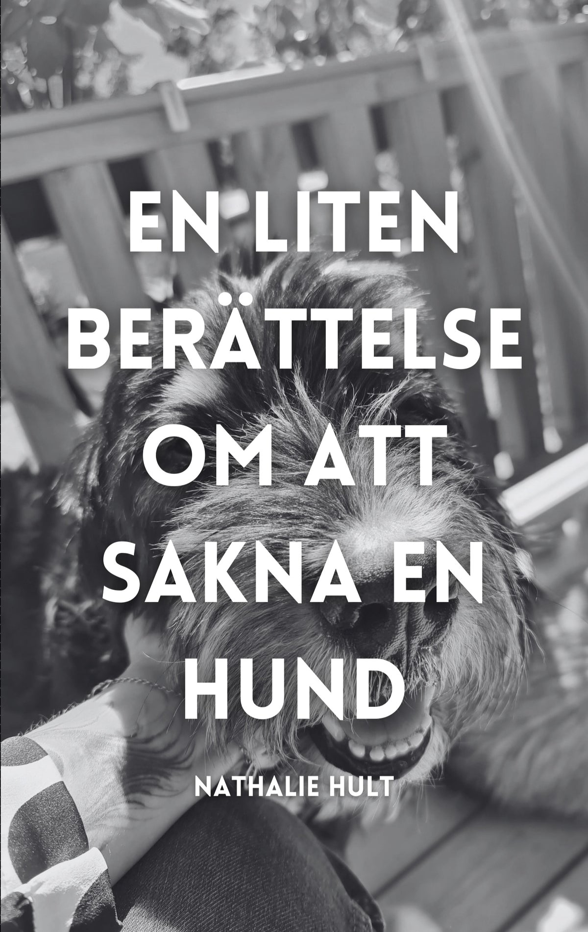 En liten berättelse om att sakna en hund – E-bok