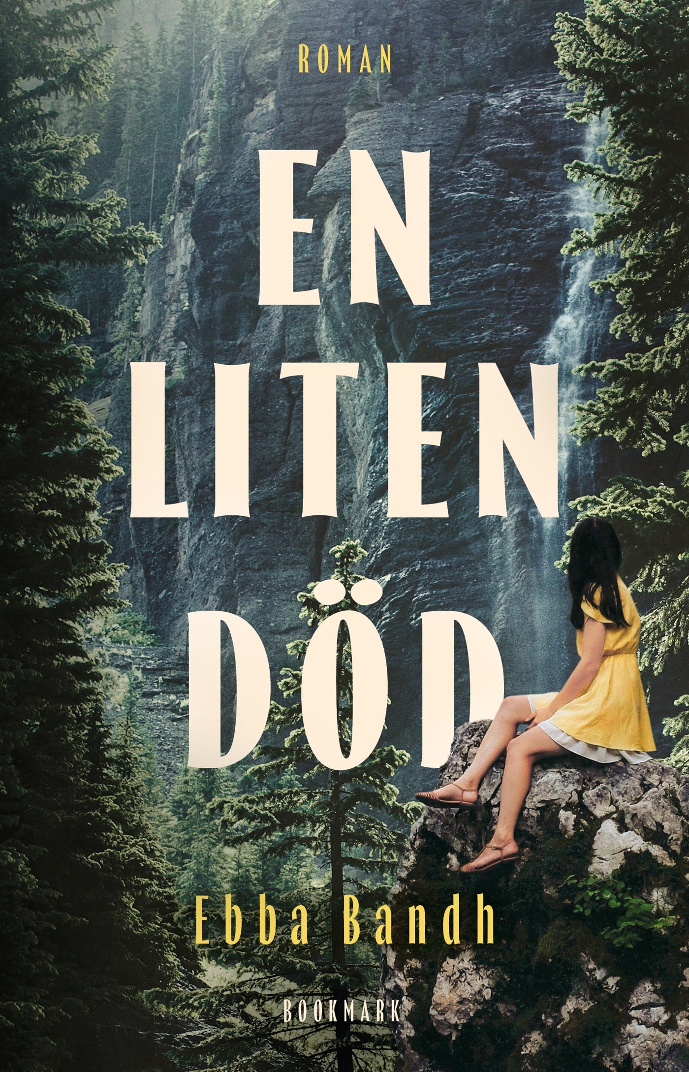 En liten död – E-bok