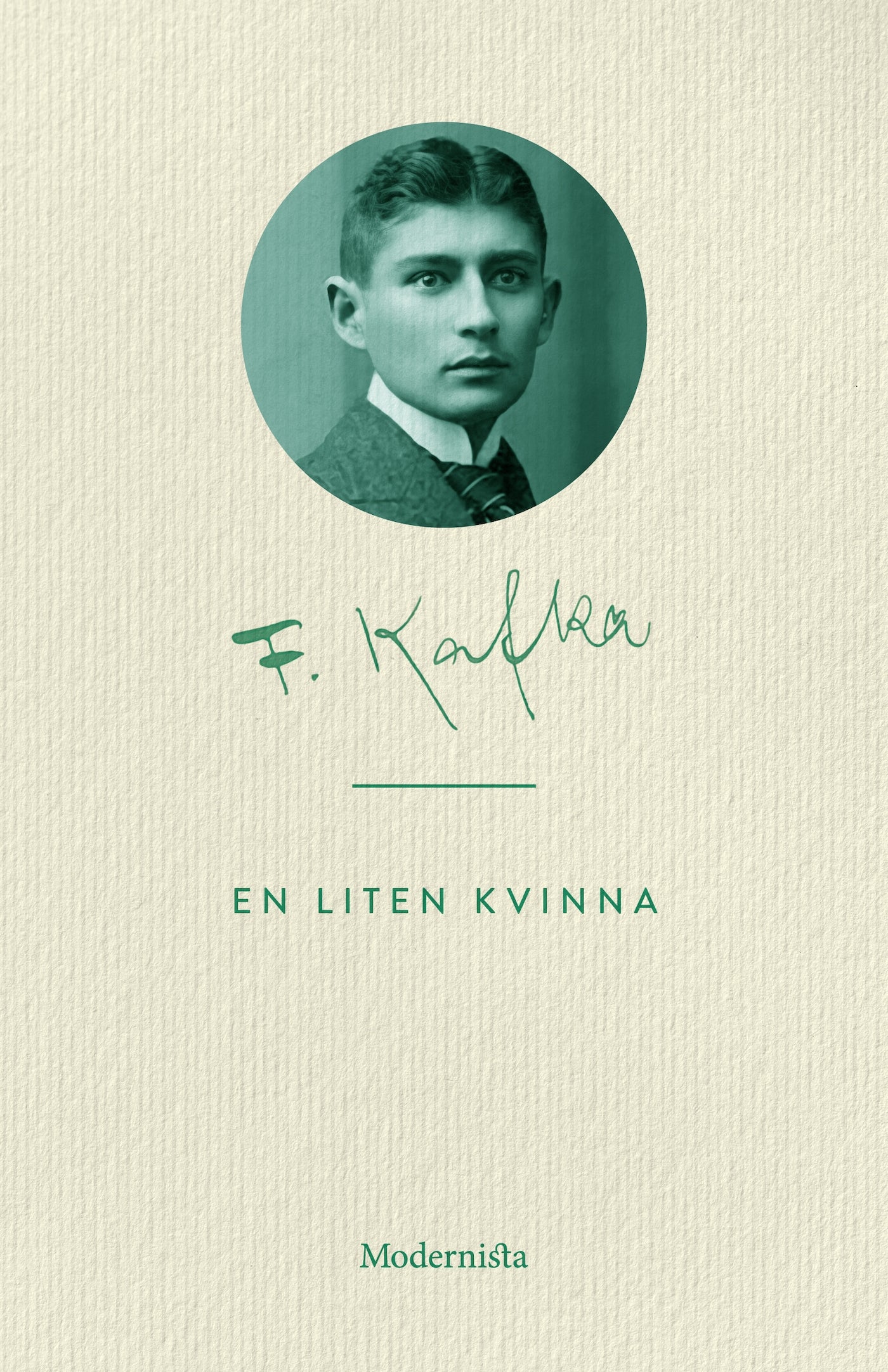 En liten kvinna – E-bok