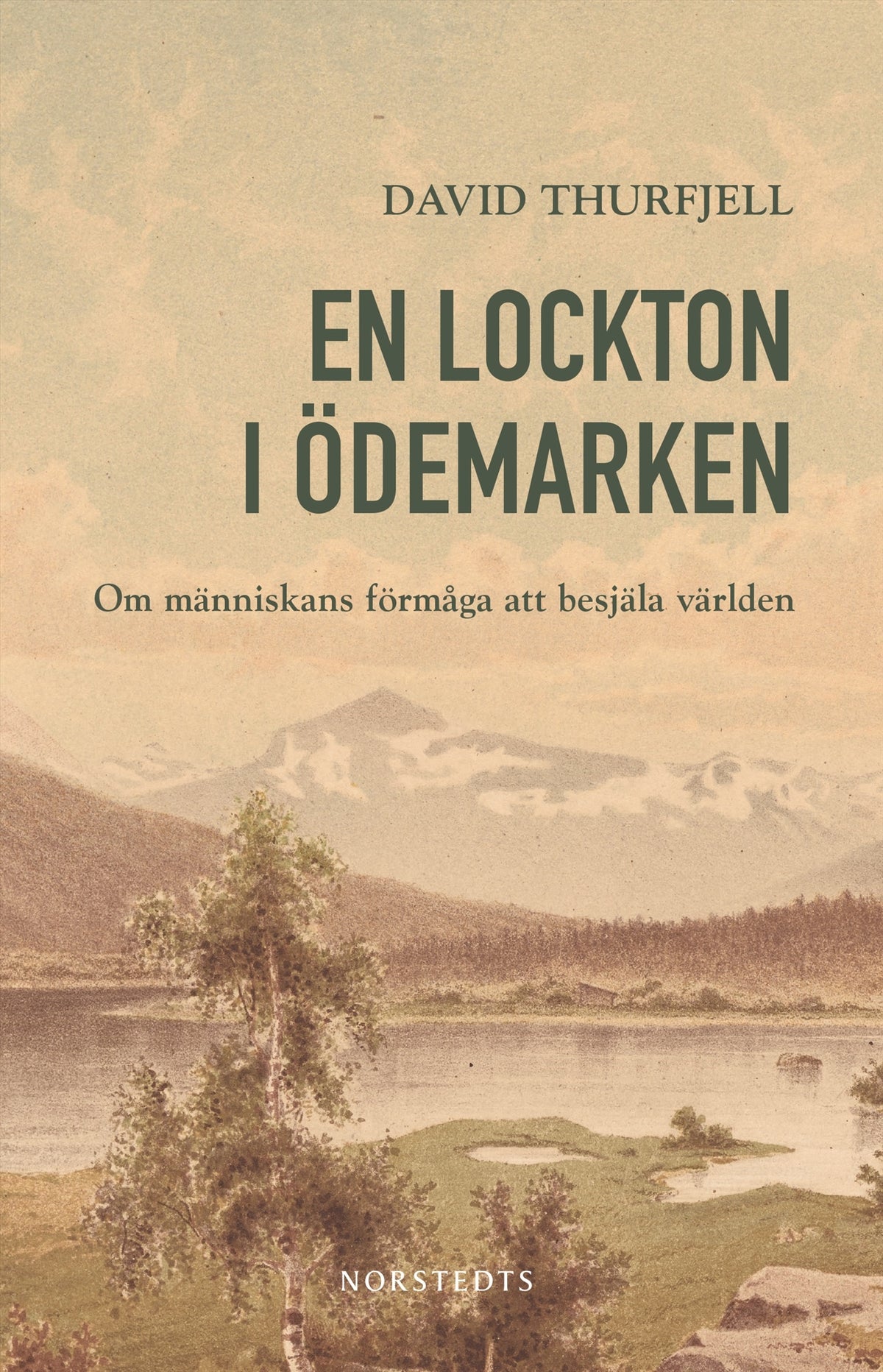 En lockton i ödemarken : om människans förmåga att besjäla världen – E-bok