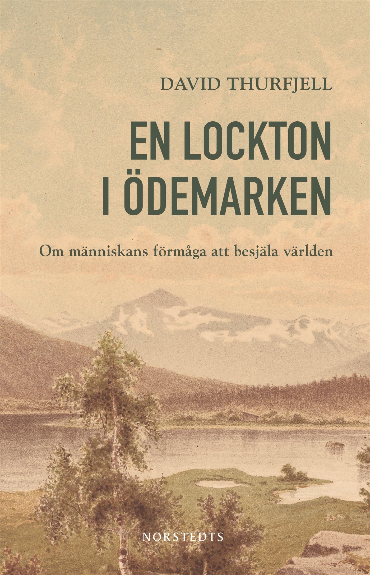 En lockton i ödemarken : om människans förmåga att besjäla världen – E-bok