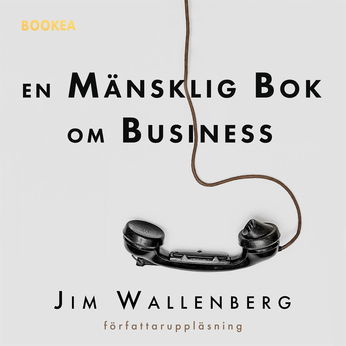 En mänsklig bok om business – Ljudbok