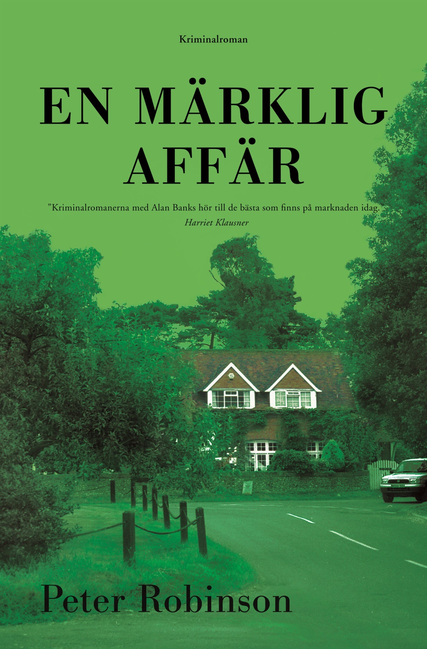 En märklig affär – E-bok