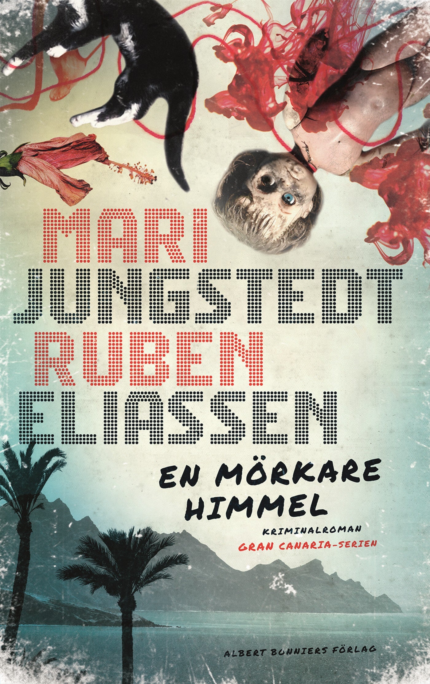 En mörkare himmel – E-bok