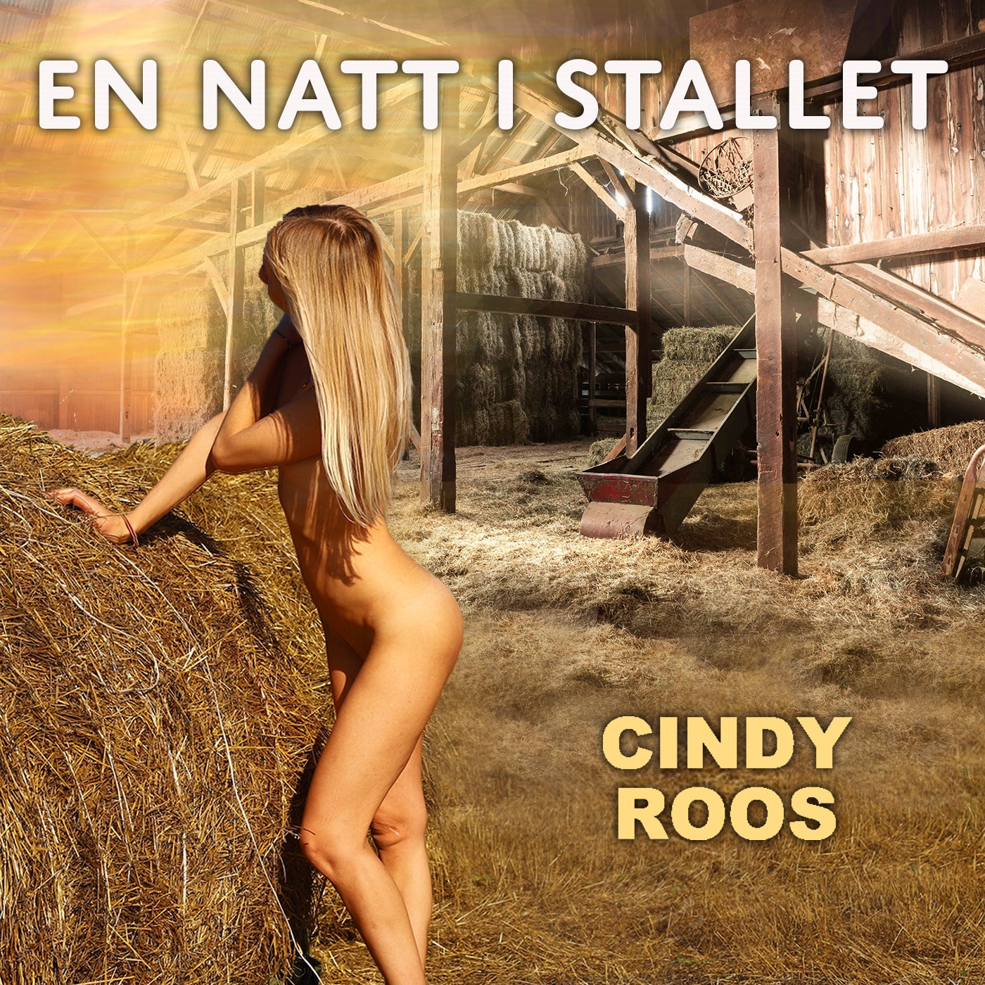 En natt i stallet – Ljudbok