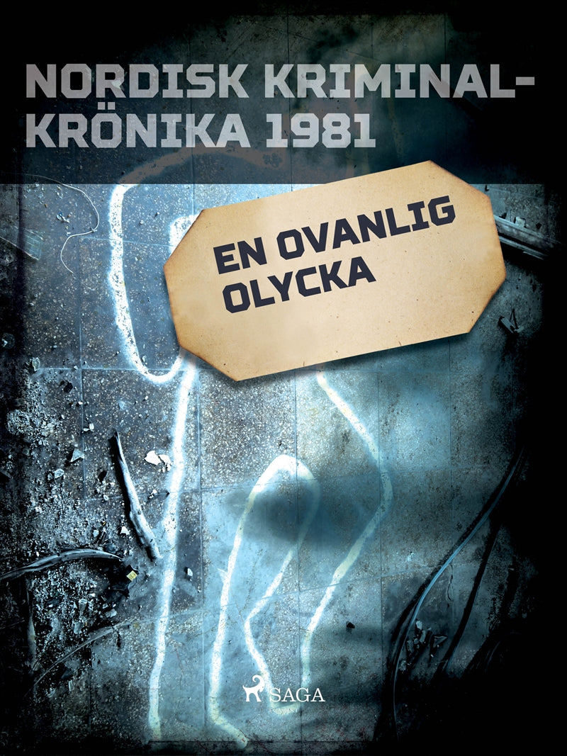 En ovanlig olycka – E-bok