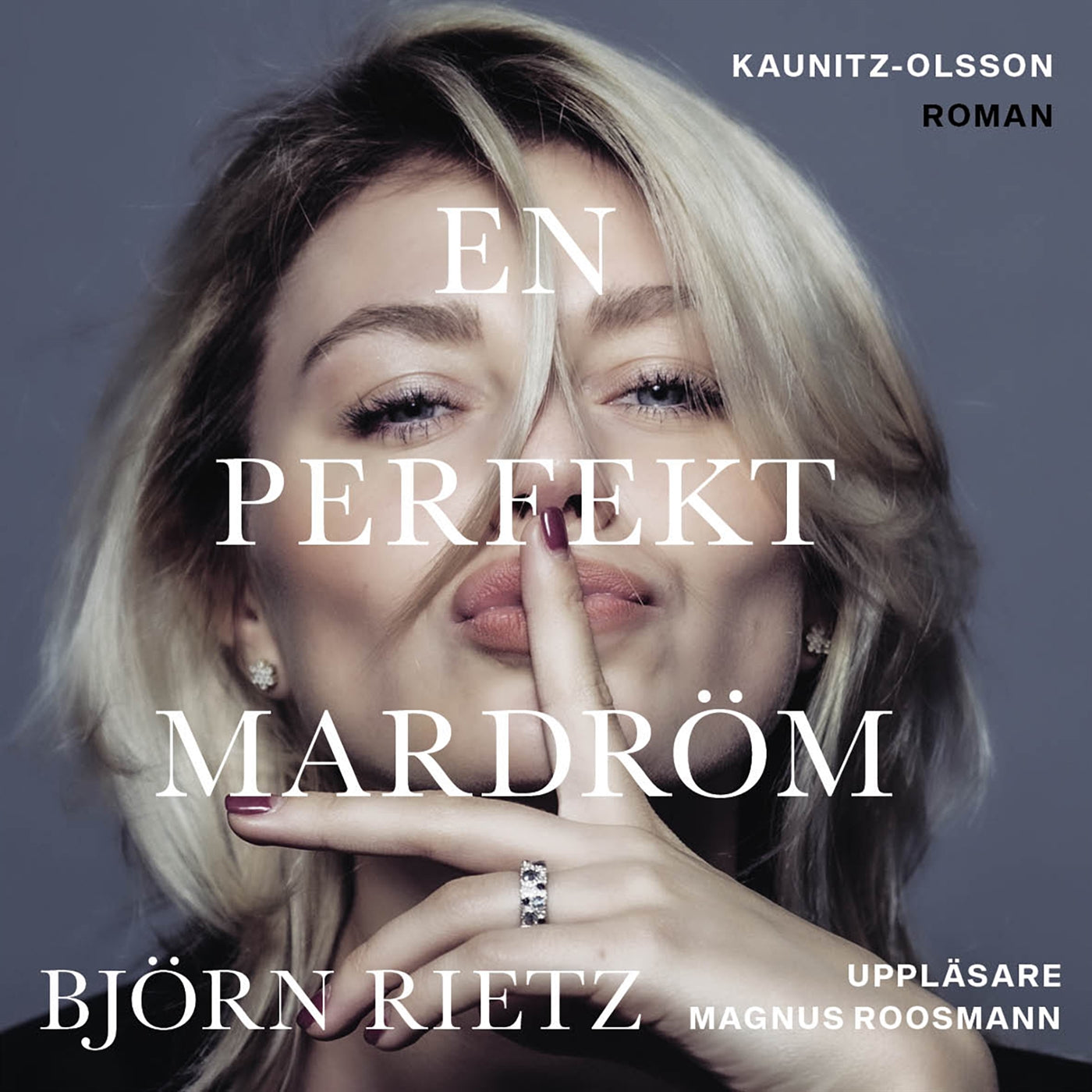 En perfekt mardröm – Ljudbok