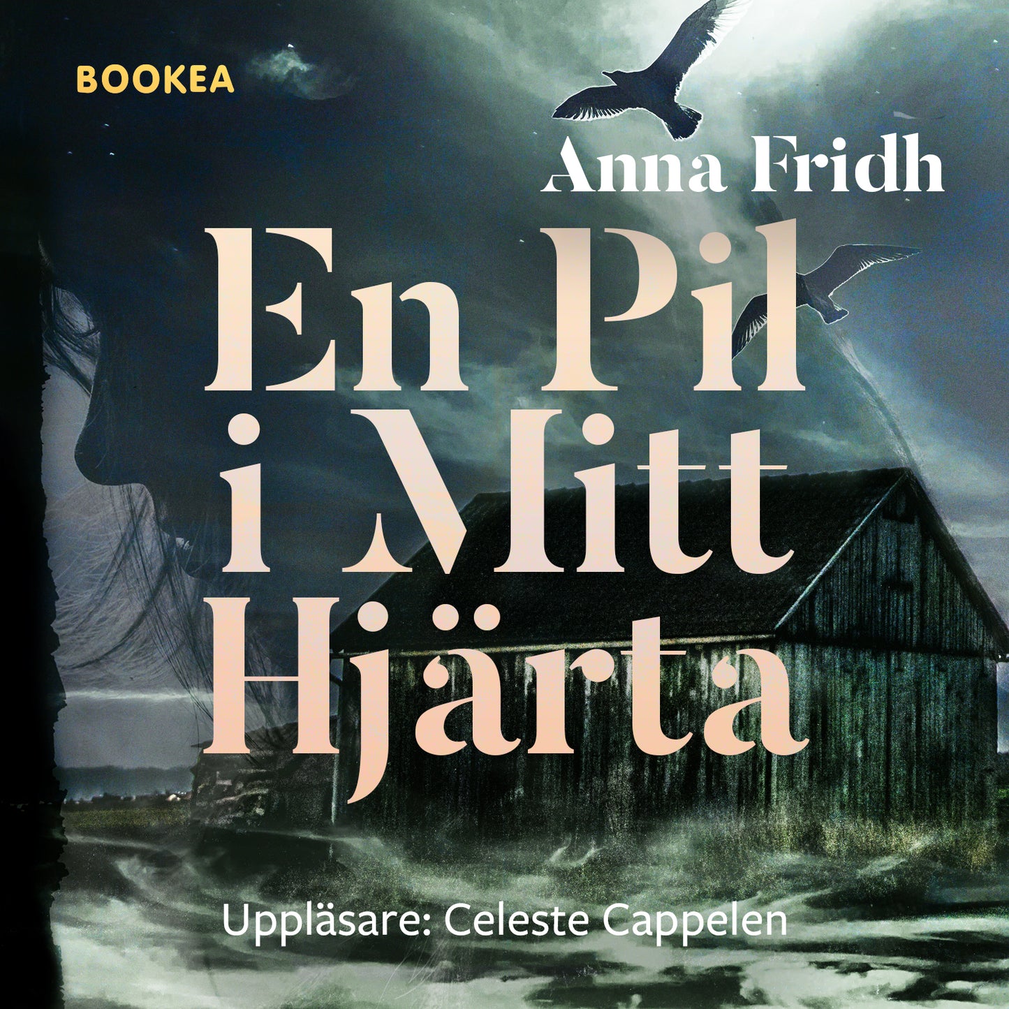 En pil i mitt hjärta – Ljudbok