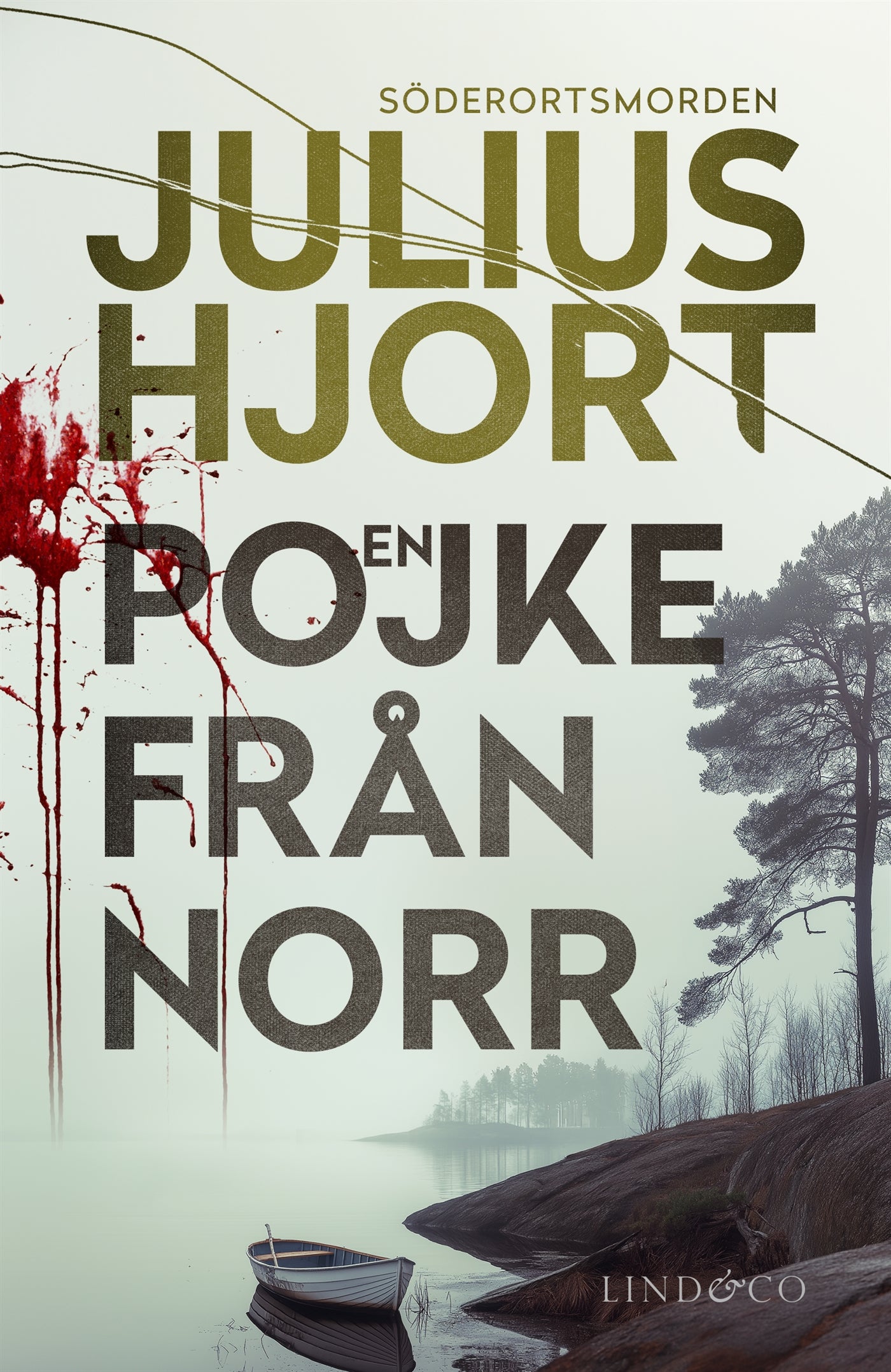 En pojke från norr – E-bok