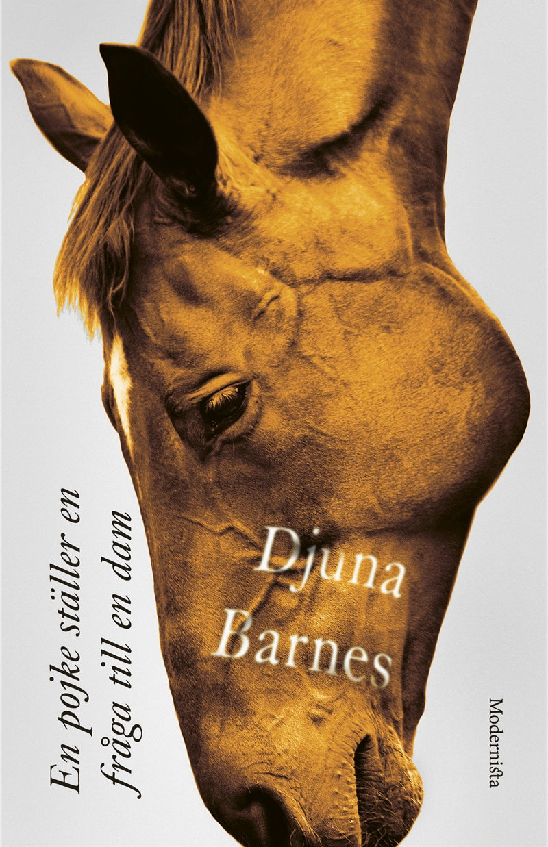 En pojke ställer en fråga till en dam – E-bok