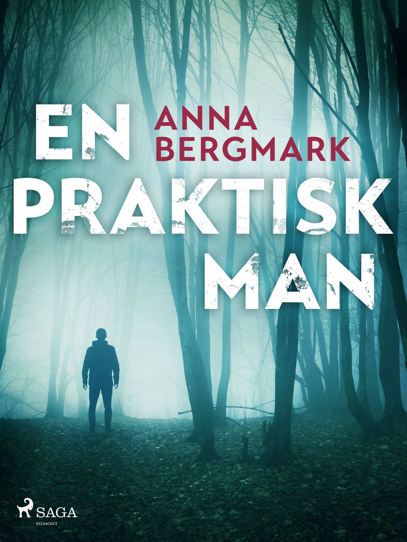 En praktisk man – E-bok