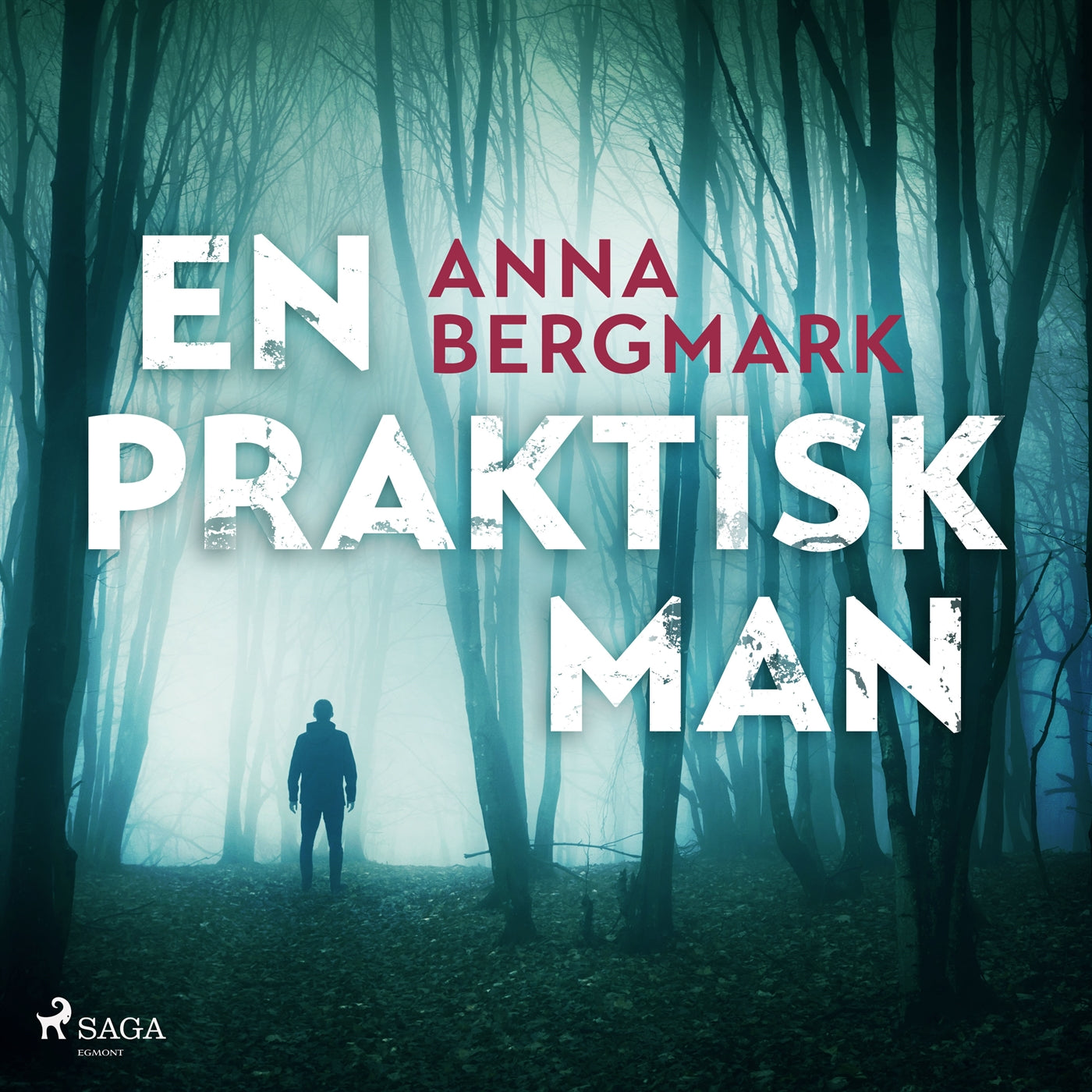 En praktisk man – Ljudbok
