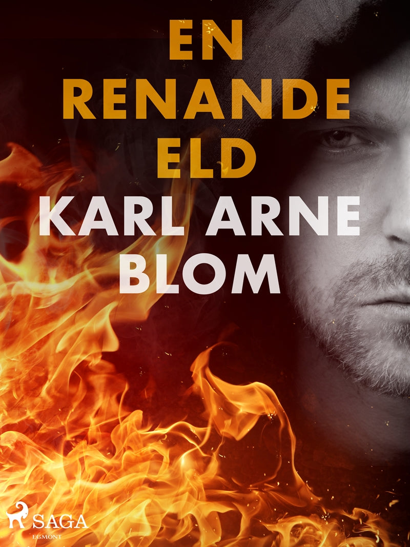 En renande eld – E-bok