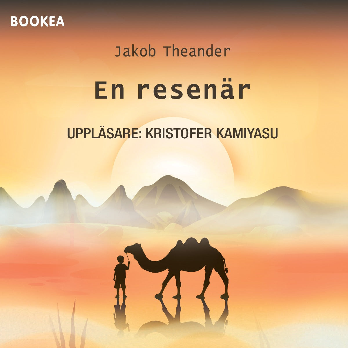 En resenär – Ljudbok