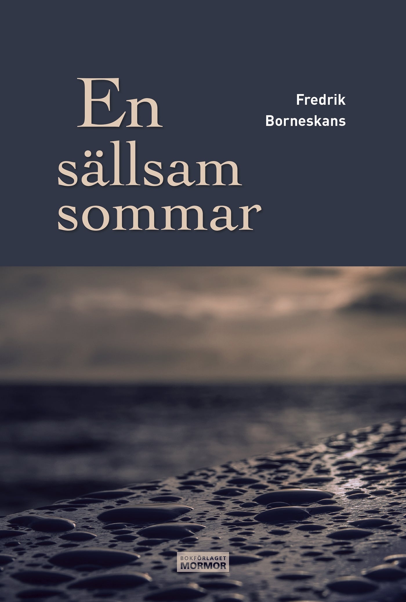 En sällsam sommar – E-bok