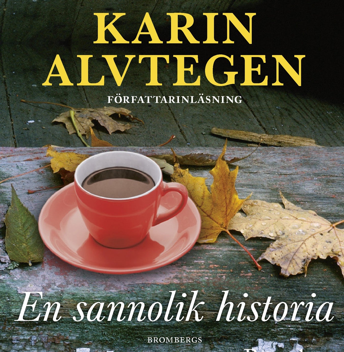 En sannolik historia – Ljudbok
