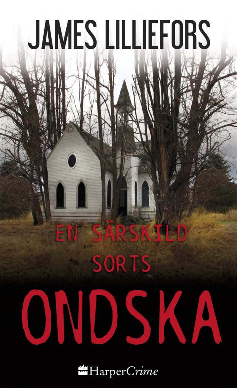 En särskild sorts ondska – E-bok