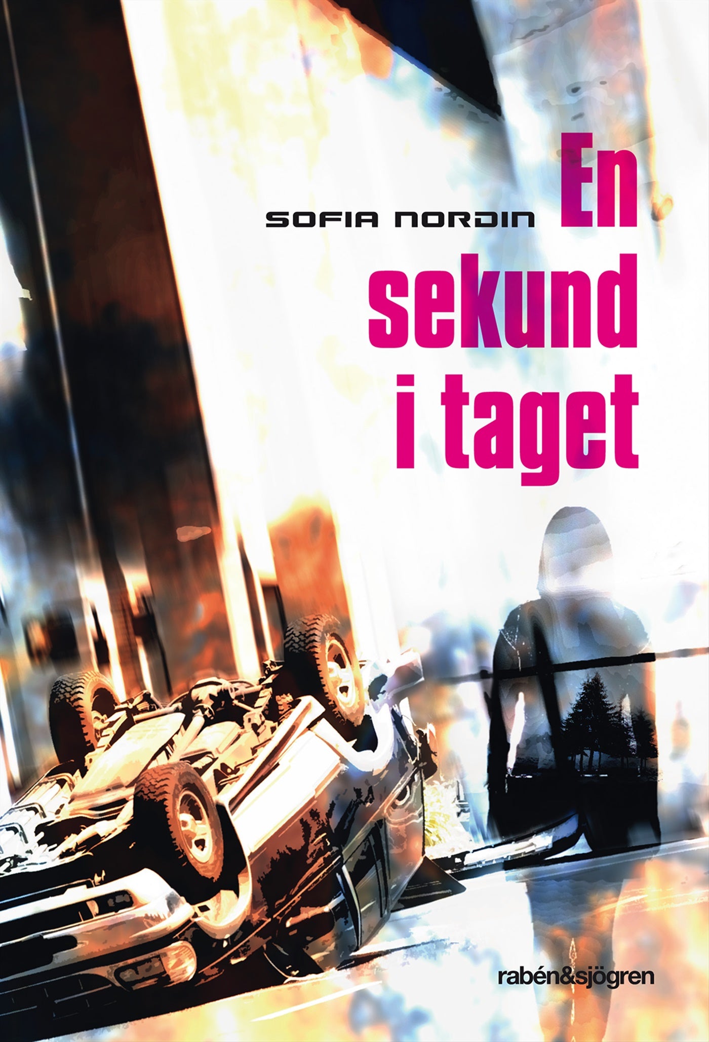 En sekund i taget – E-bok