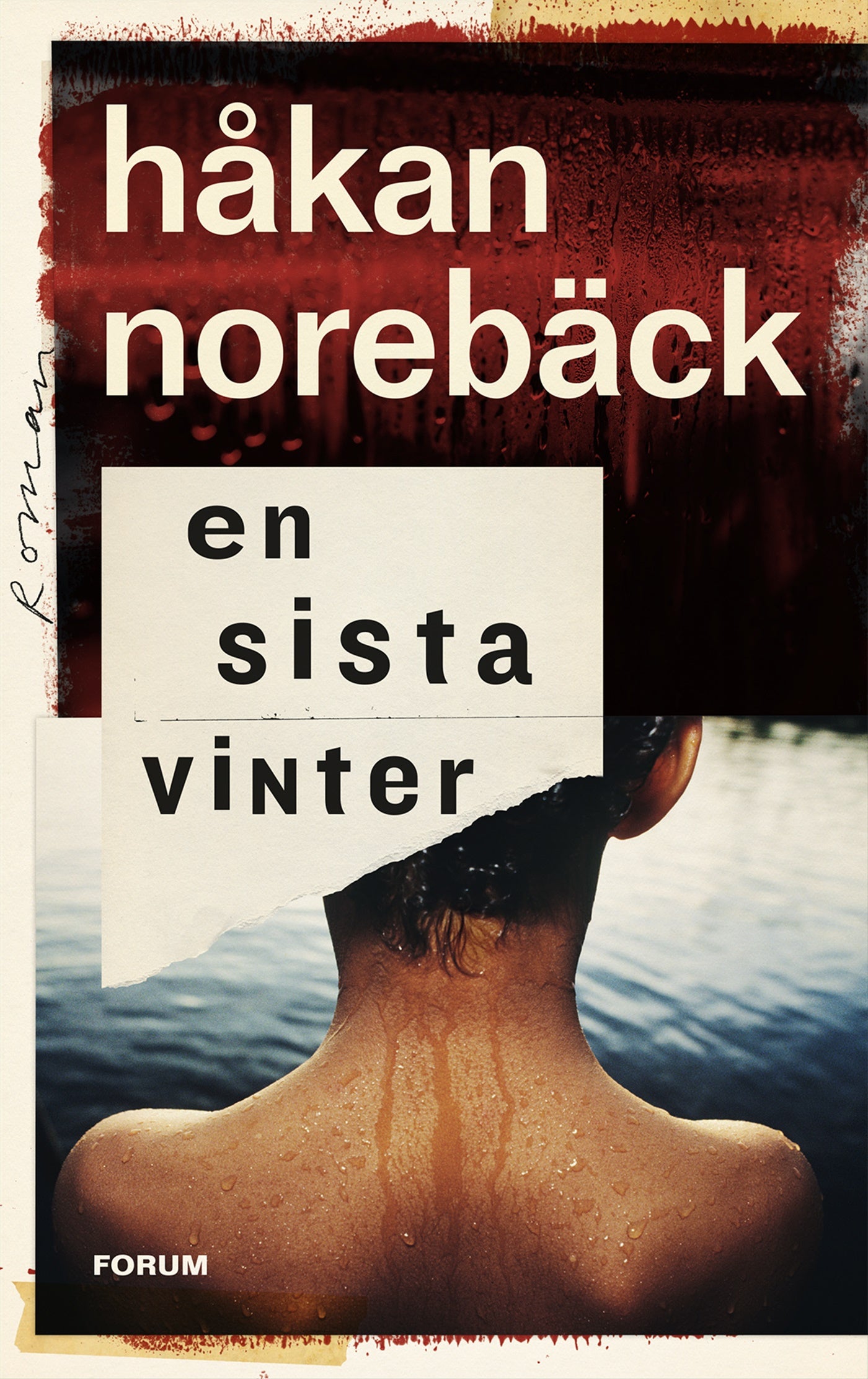En sista vinter – E-bok