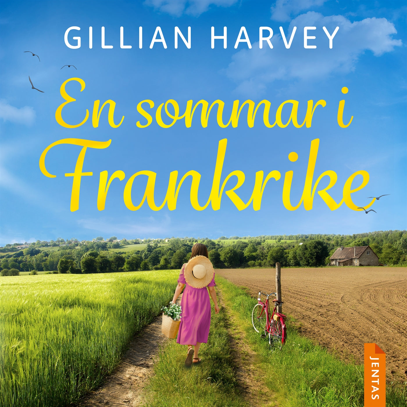 En sommar i Frankrike – Ljudbok