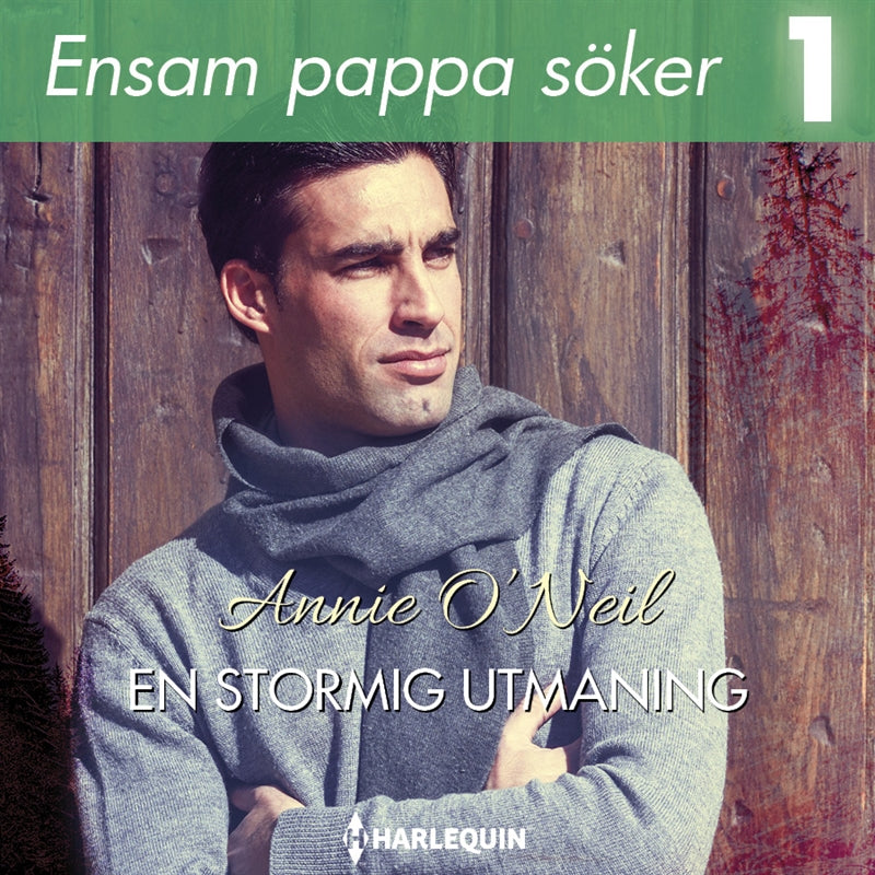 En stormig utmaning – Ljudbok