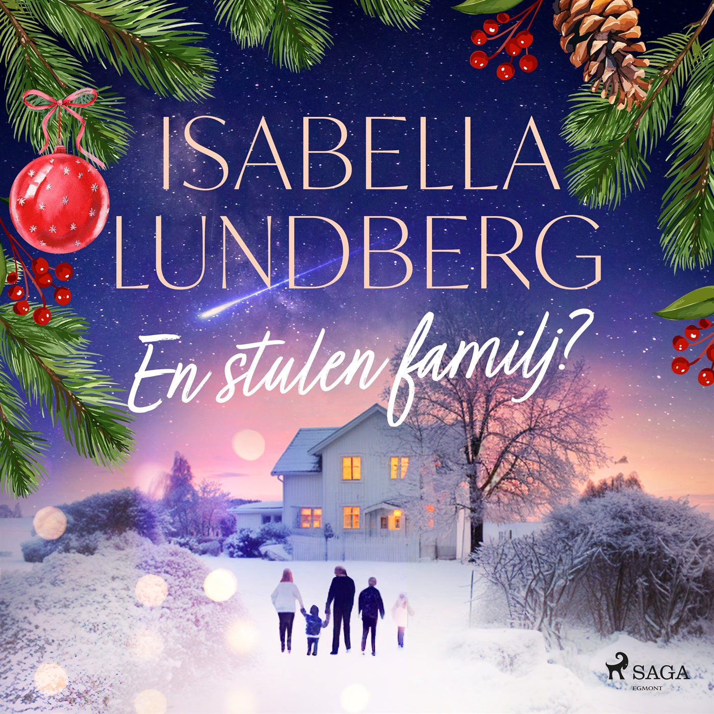 En stulen familj? – Ljudbok