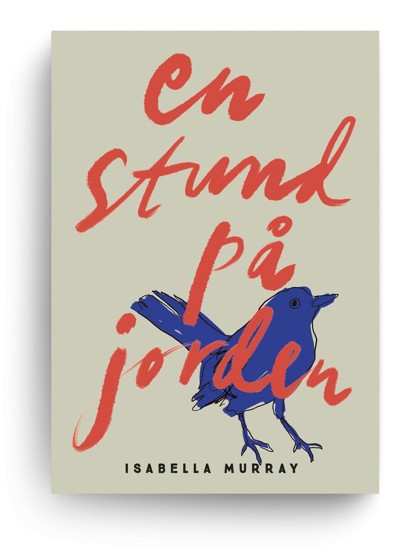 En stund på jorden – E-bok