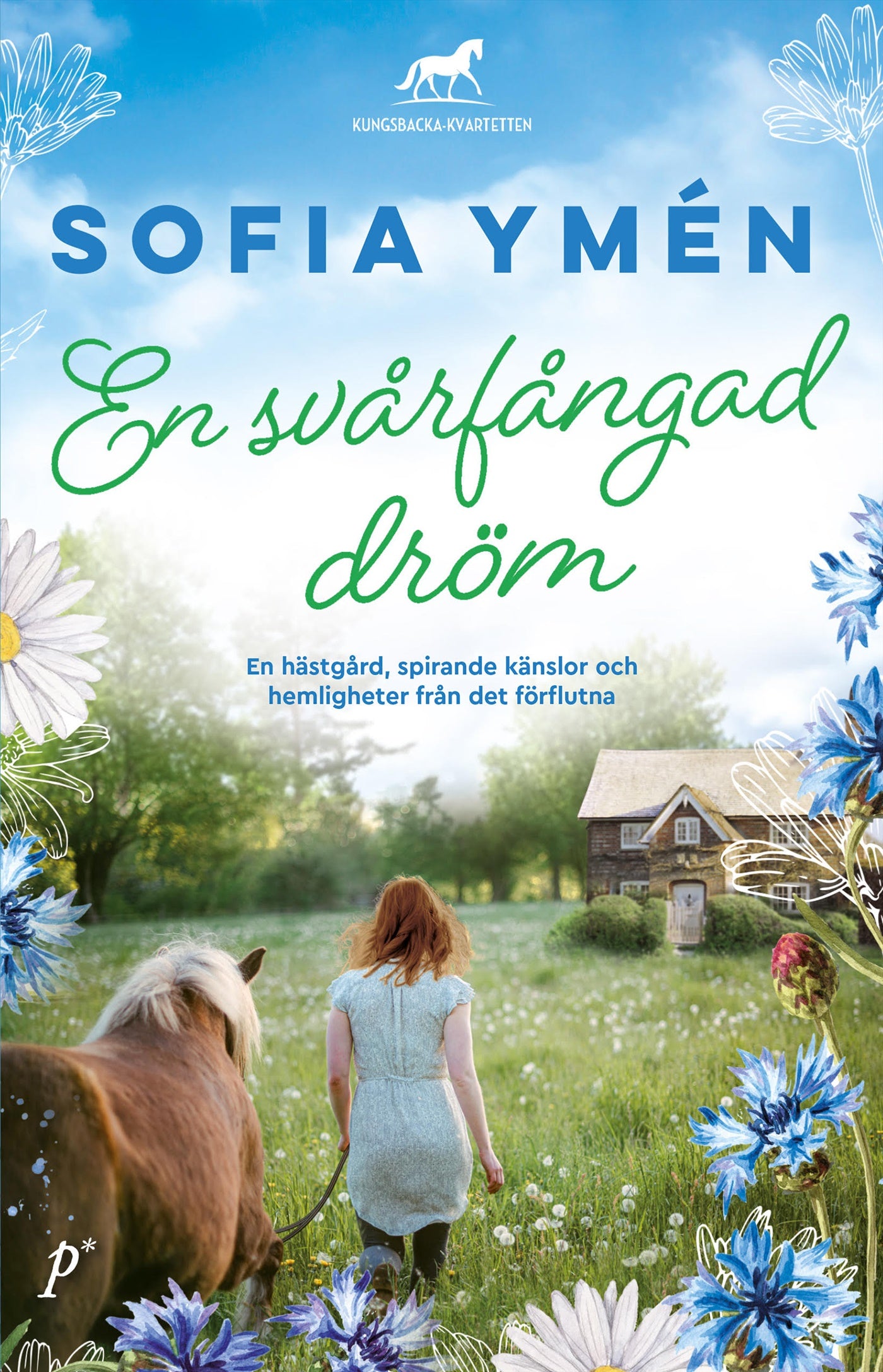 En svårfångad dröm – E-bok