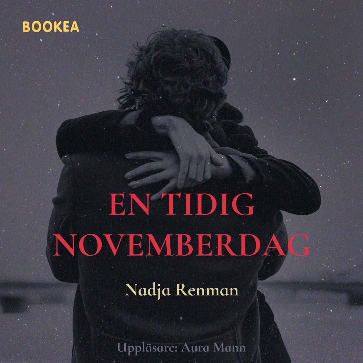 En tidig novemberdag – Ljudbok