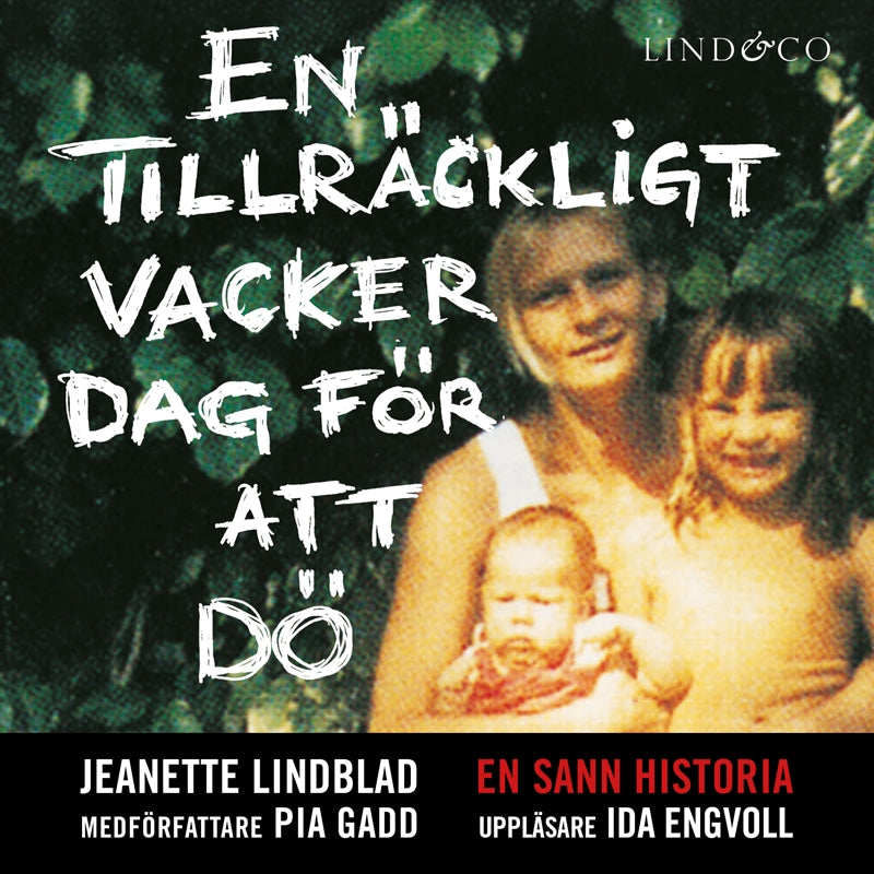 En tillräckligt vacker dag för att dö – Ljudbok