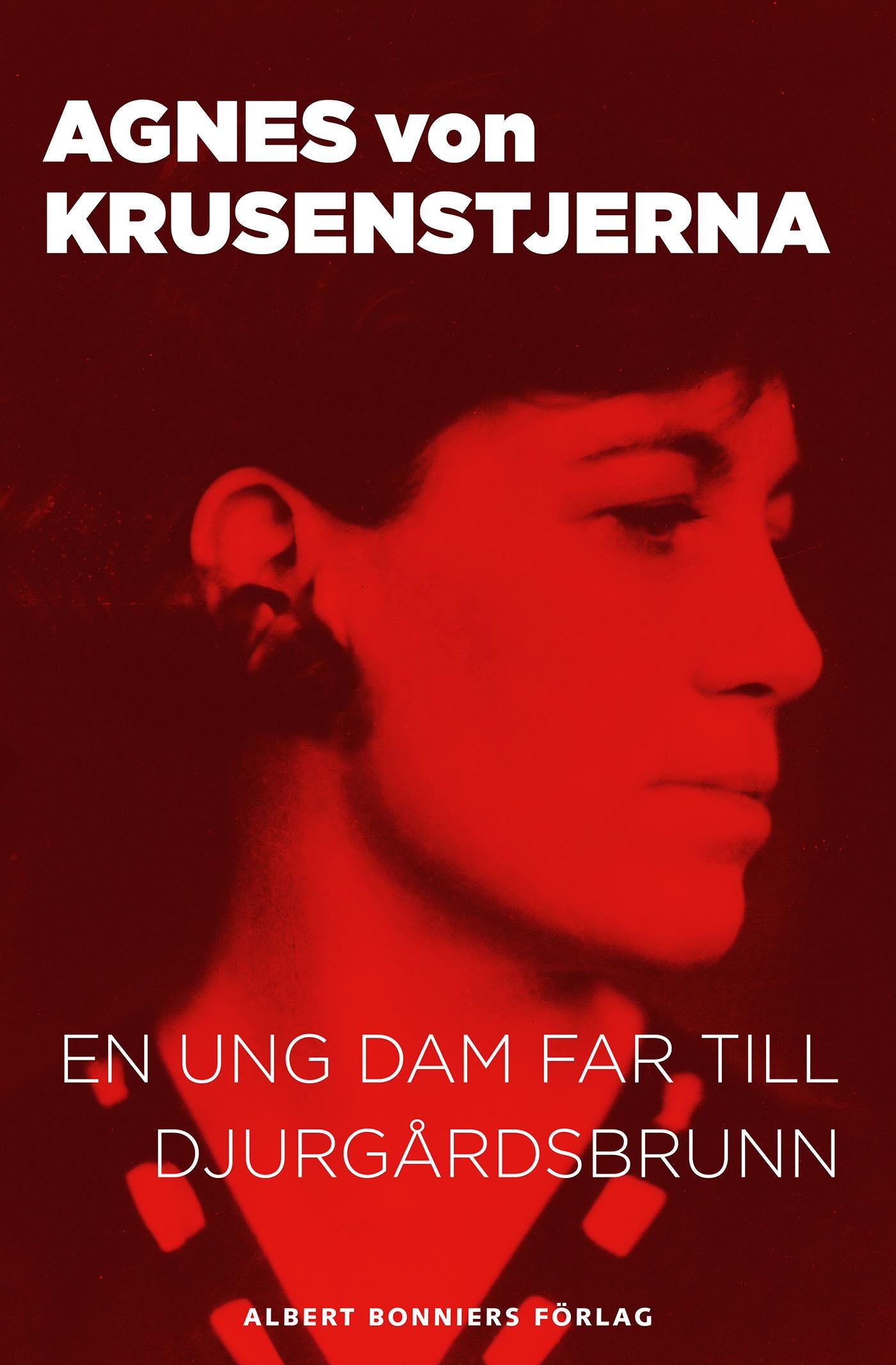 En ung dam far till Djurgårdsbrunn – E-bok