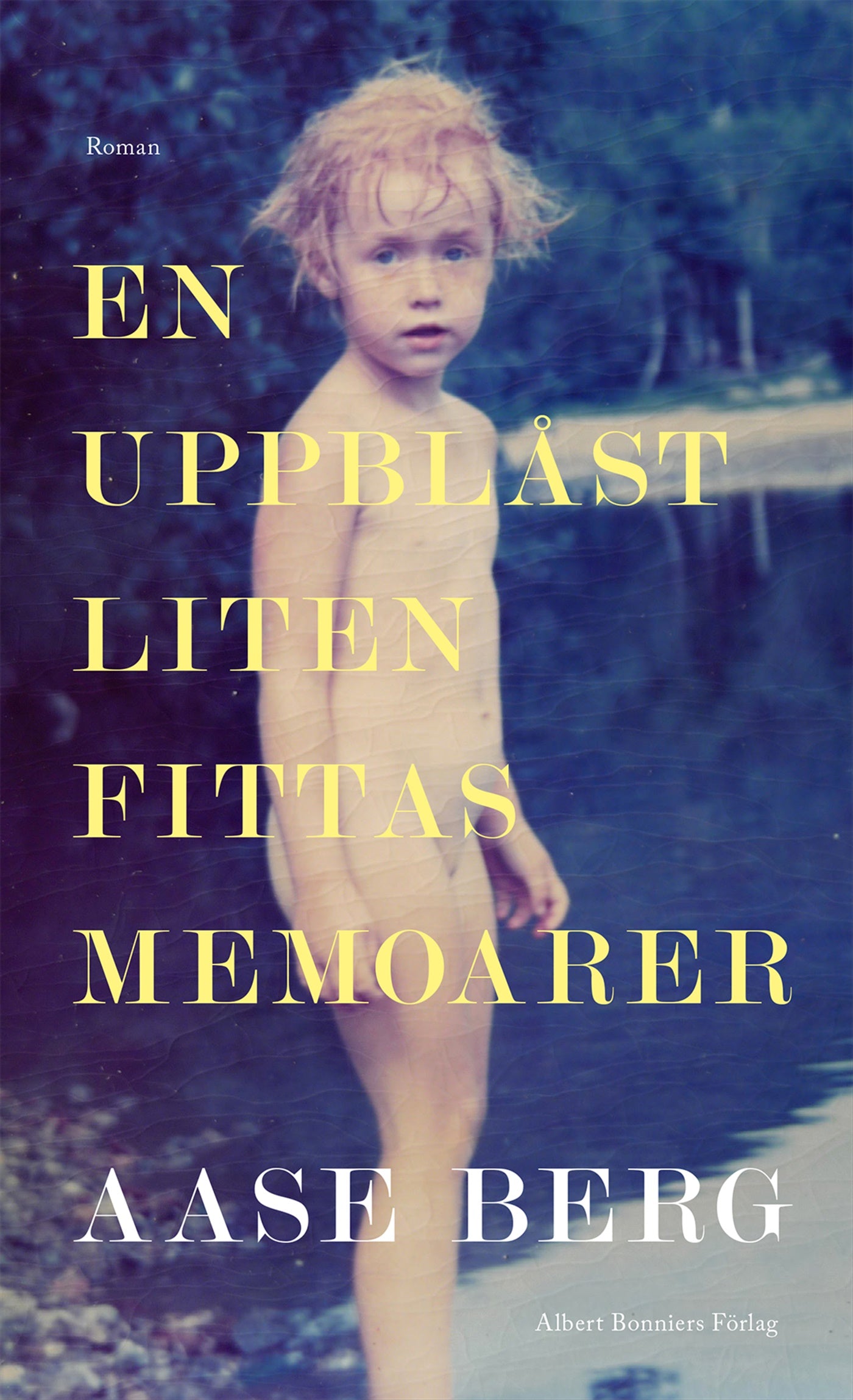 En uppblåst liten fittas memoarer – E-bok