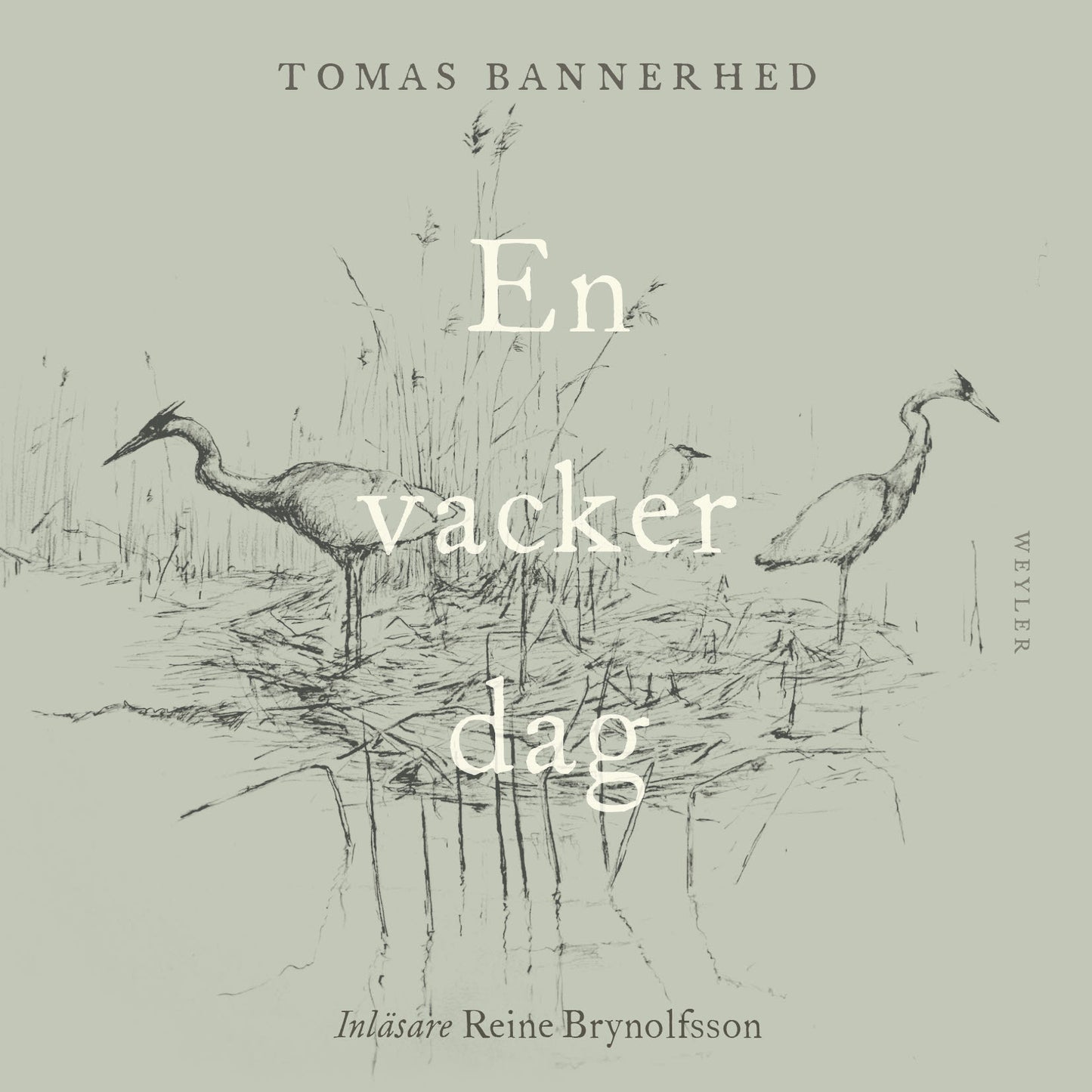 En vacker dag – E-bok