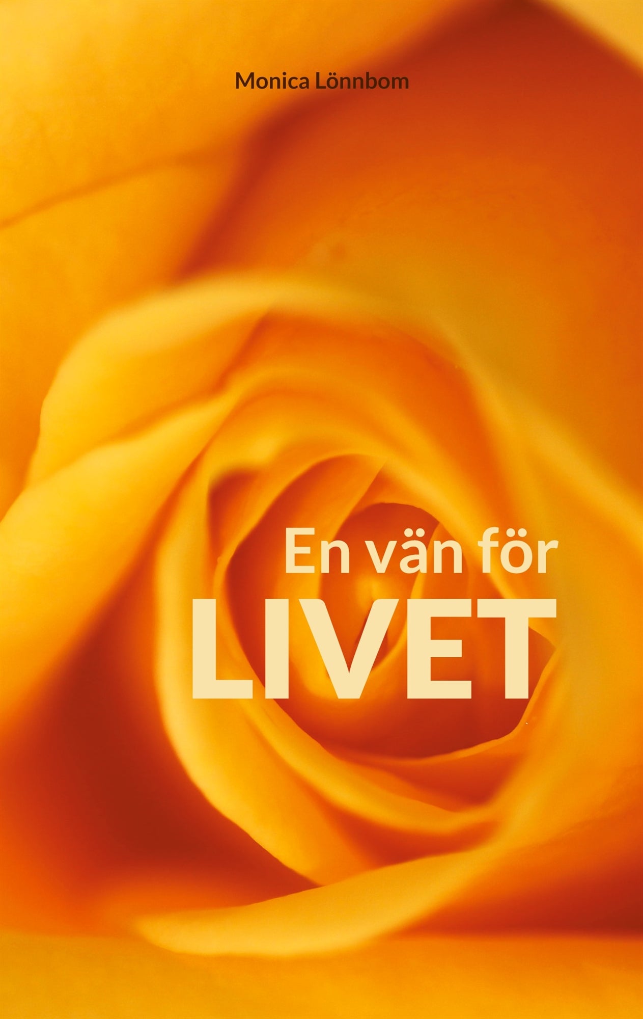 En vän för livet – E-bok